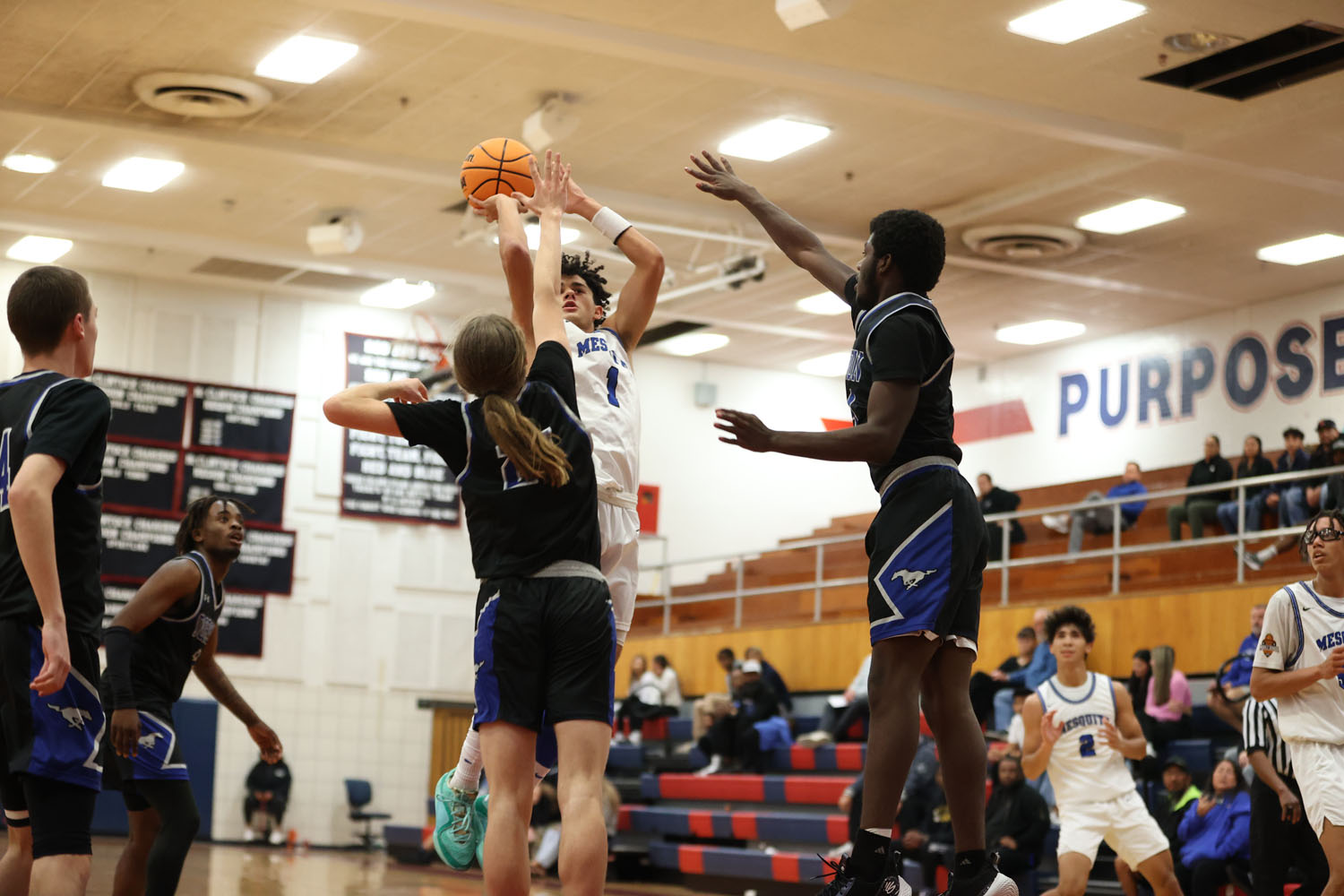 Mesquite shot from the lane