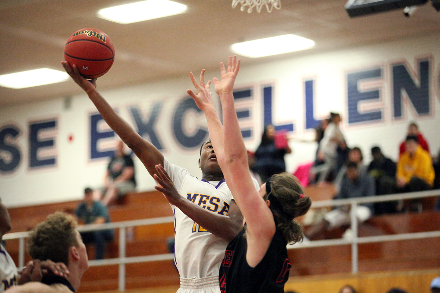 McClintock Basketball